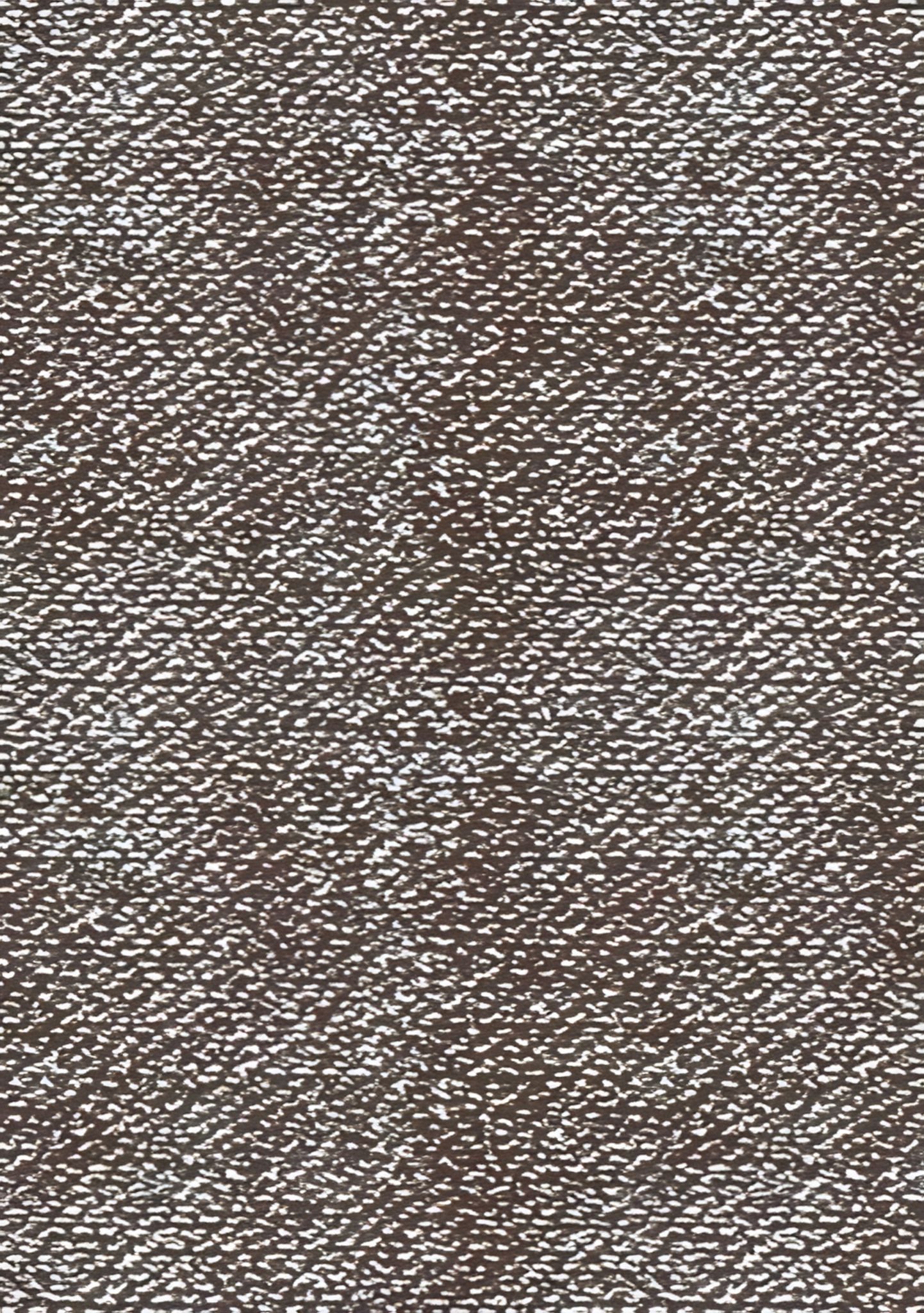 Heyda Bastelkartonpapier HEYDA 204720192 Tonkarton HEYDA Color A4 silberfarben Rückseite weiss