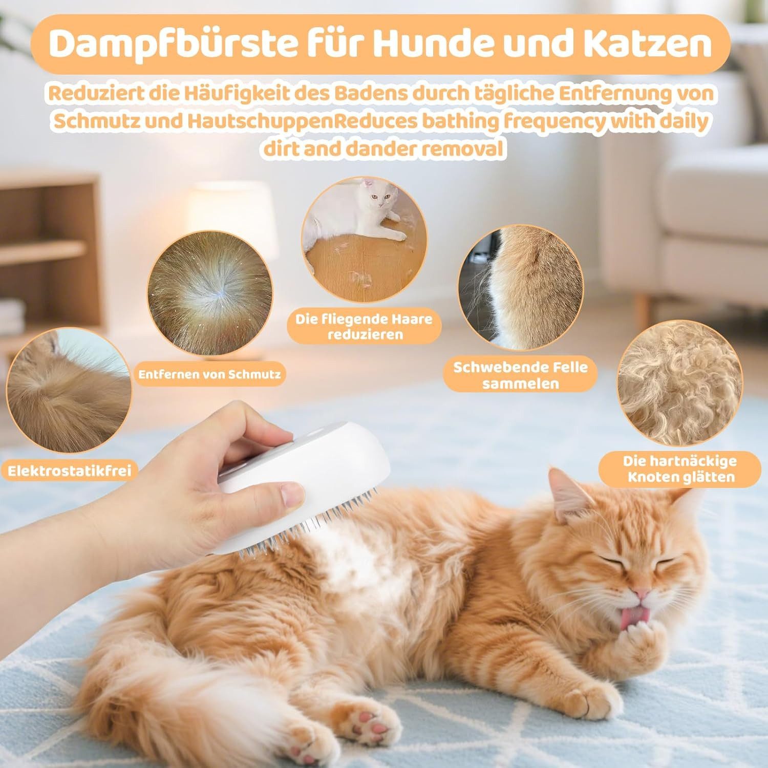 Forrlite Fellbürste Katzenbürste mit Dampf,Hundebürste, Sprühkamm für Katzen, Edelstahl