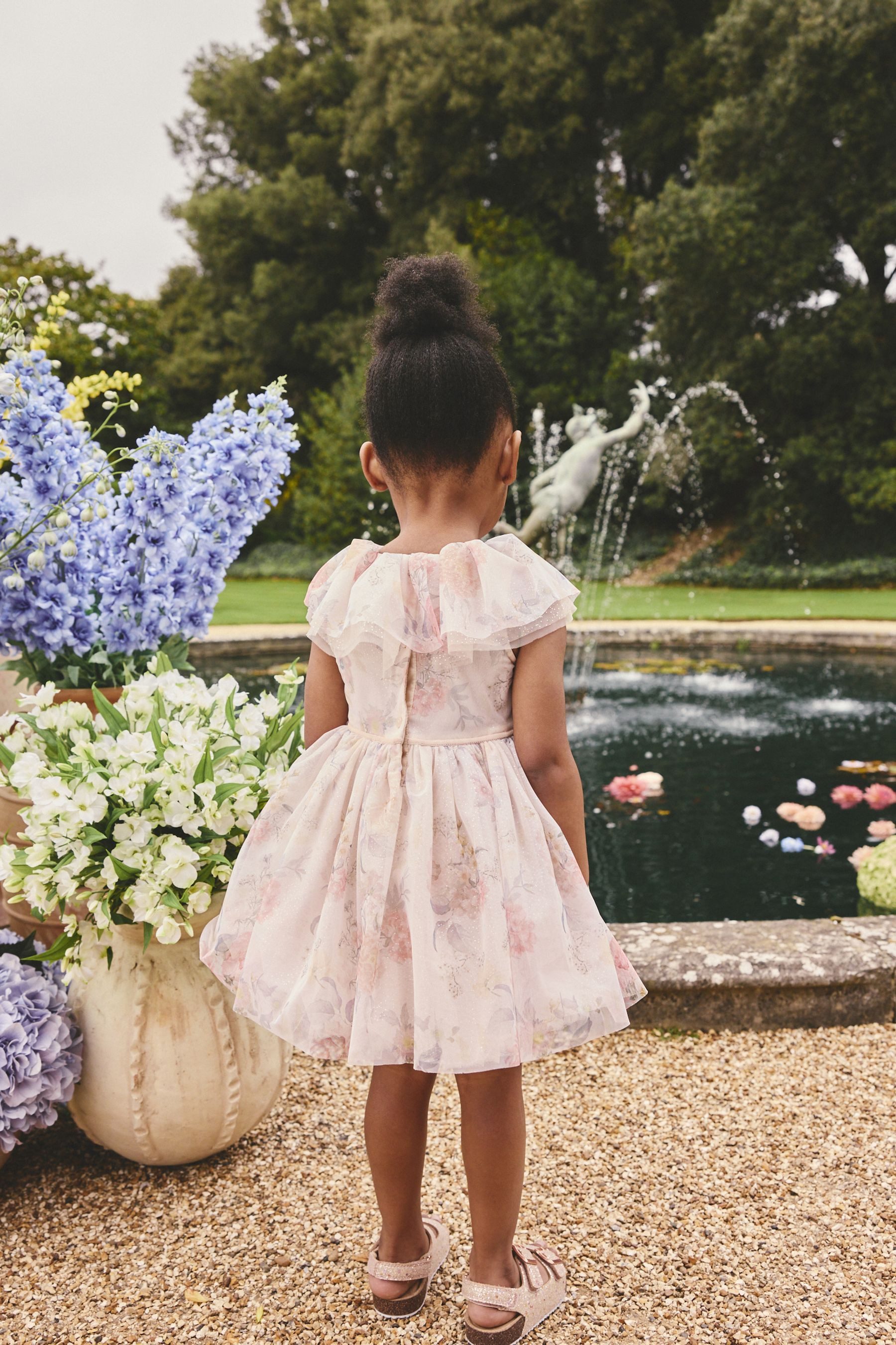 Next Tüllkleid Mesh-Kleid mit Rüschenkragen (1-tlg)