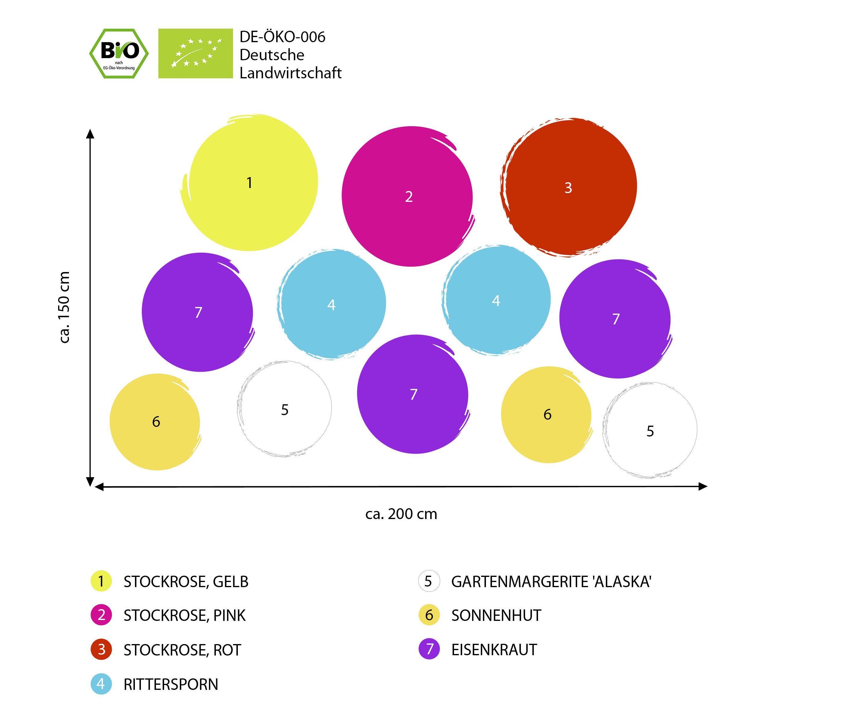 Dehner Staude Bio Stauden-Set Bunter Landhausgarten, 12 Stauden, je 5-20 cm, für insektenfreundliche, sonnige Blumenbeete