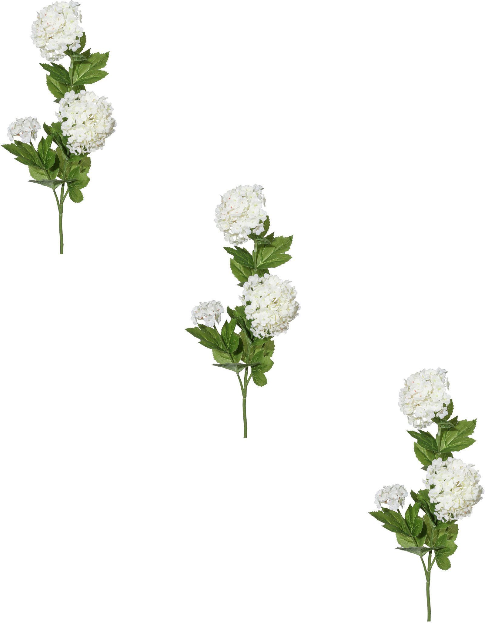 Kunstblume Schneeballzweig Schneeball, Creativ green, Höhe 61 cm