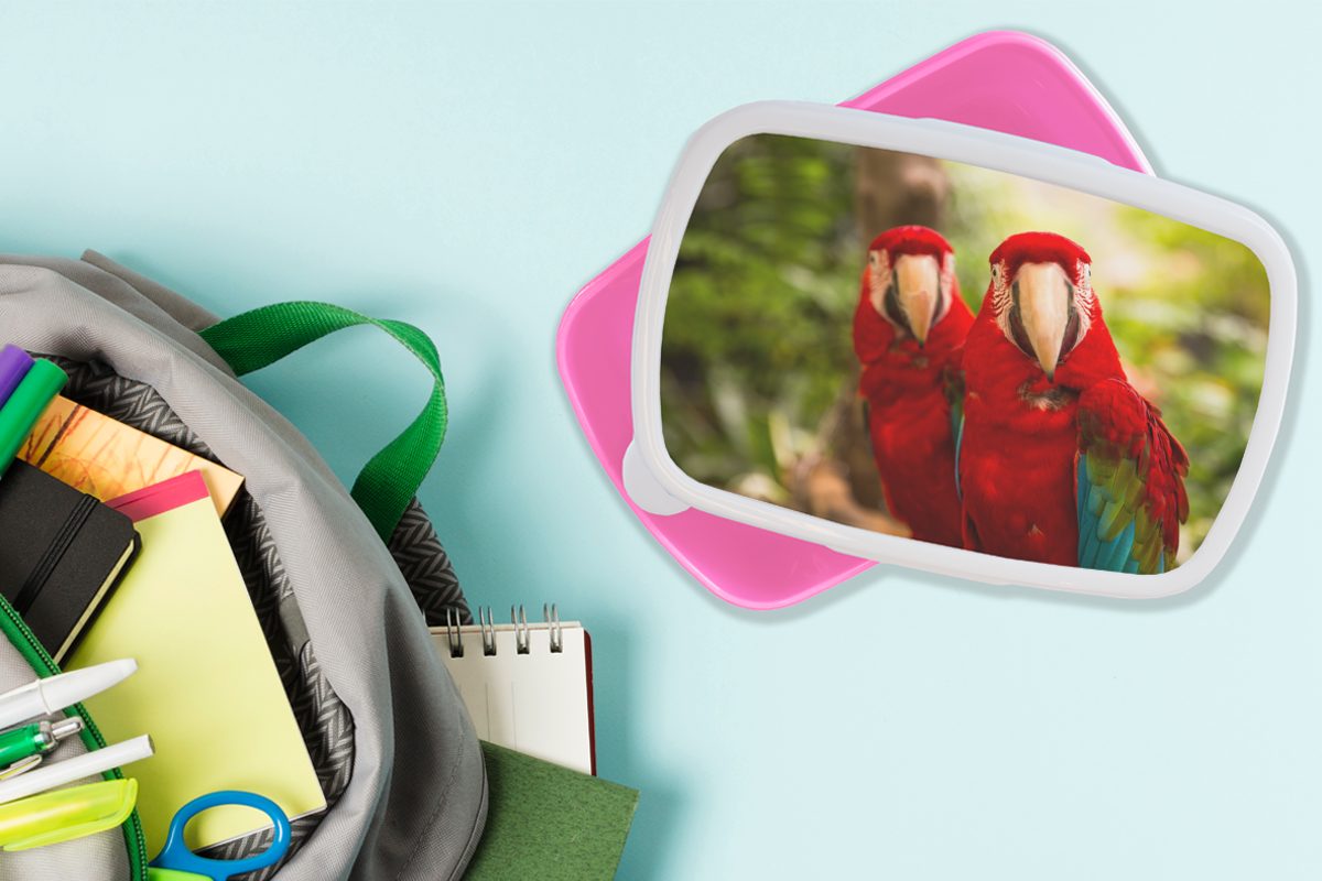 Vögel Papageien Kinder, Brotbox Dschungel, Erwachsene, - Snackbox, Kunststoff Brotdose (2-tlg), Mädchen, - rosa Kunststoff, für MuchoWow Lunchbox