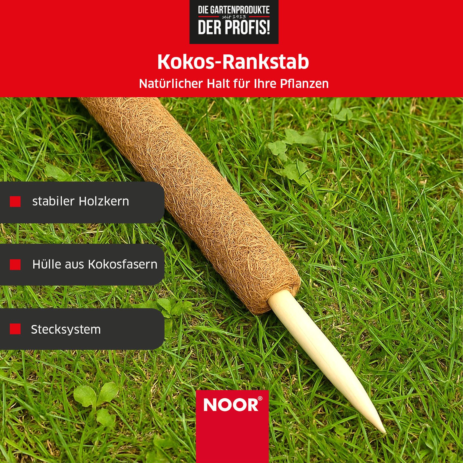 NOOR Rankhilfe Kokos-Rankstab mit Holzstiel - verlängerbar - ideale Wachstumshilfe, 100% Naturmaterial - extra stark - 7 cm Ø - verschiedene Größen