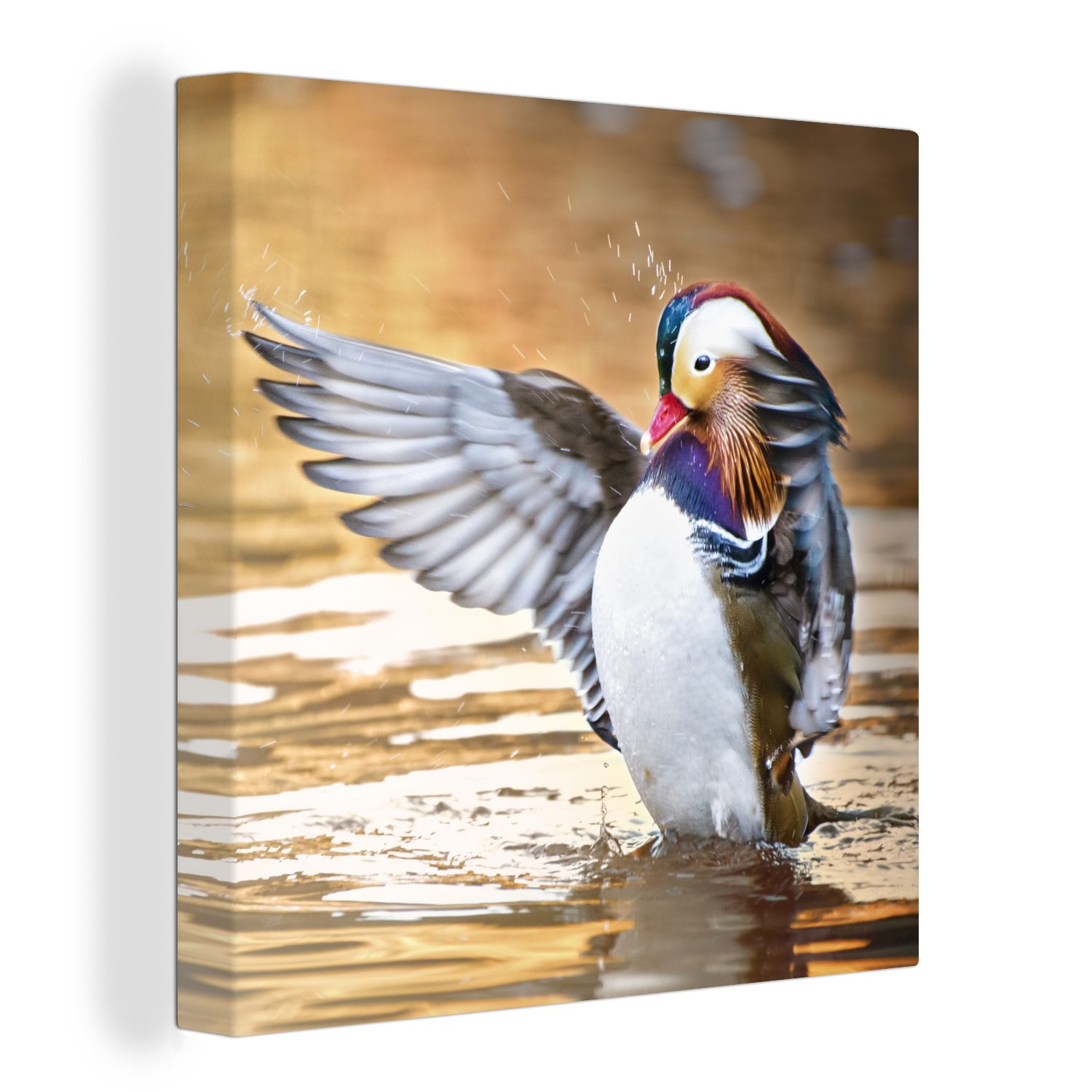 OneMillionCanvasses® Leinwandbild Ente - Tier - Wasser - Herbst, (1 St), Leinwand Bilder für Wohnzimmer Schlafzimmer