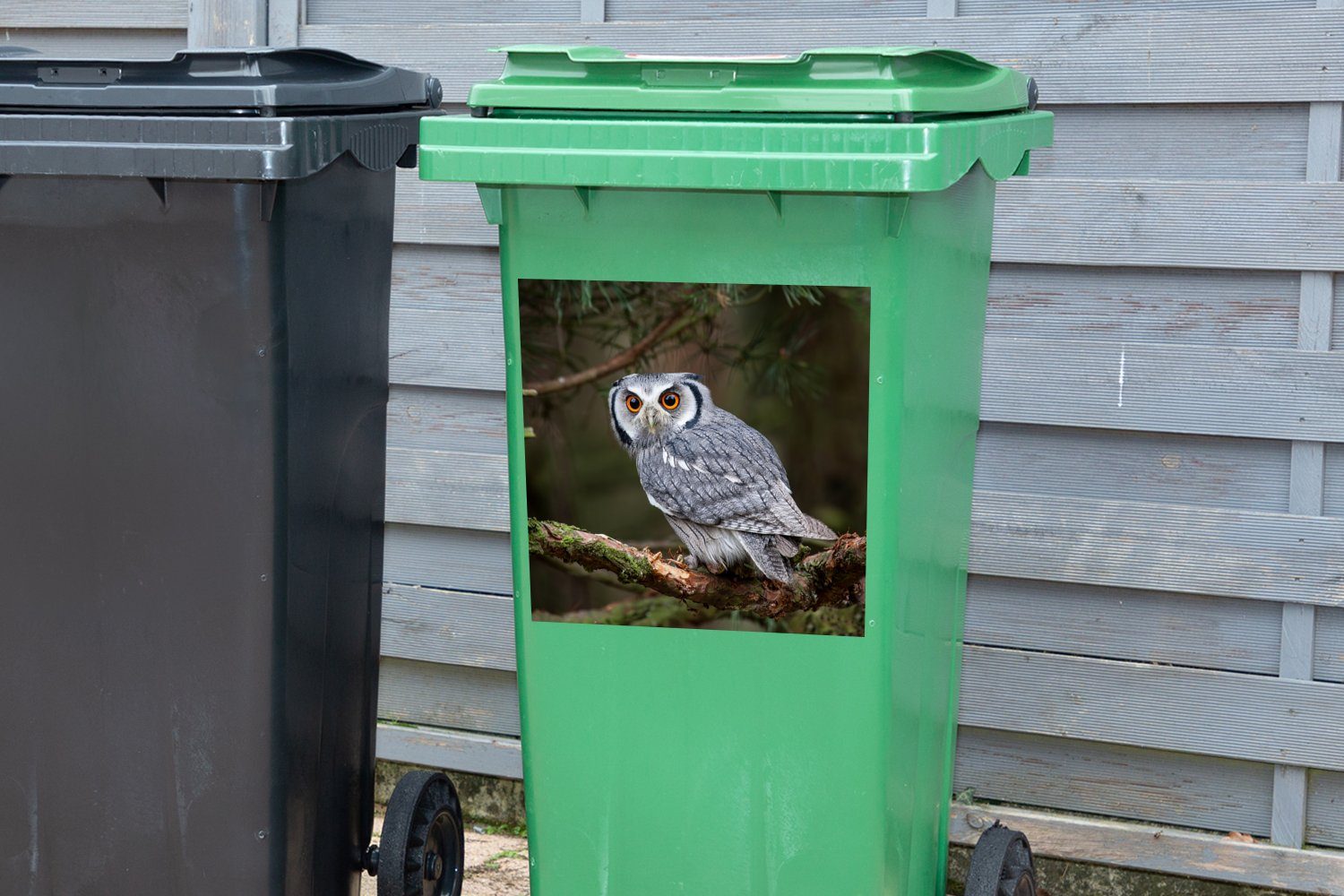 Vogel - Mülltonne, Sticker, Eule Natur Abfalbehälter Äste Mülleimer-aufkleber, - (1 MuchoWow Wandsticker St), Container, -