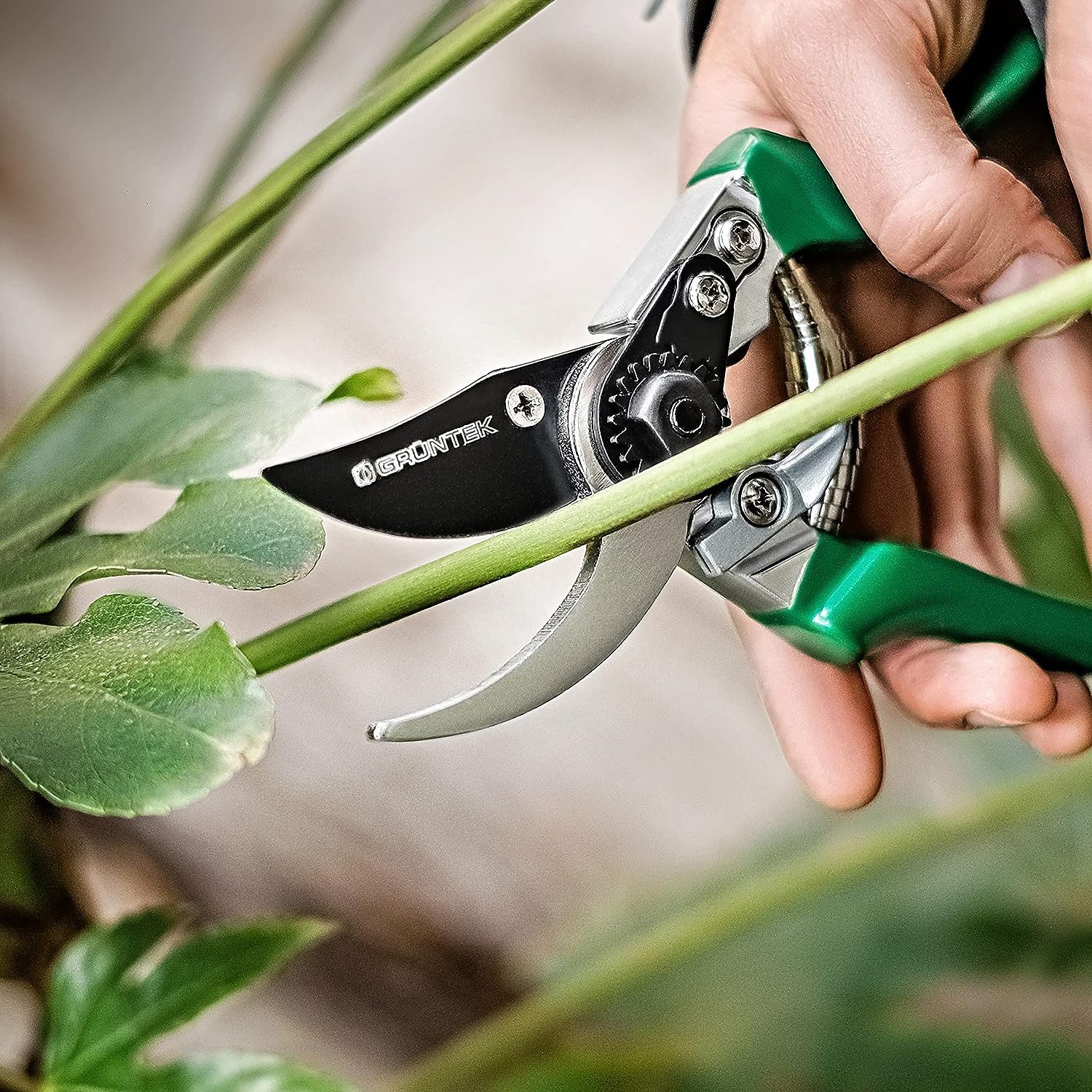 GRÜNTEK Gartenschere Präzision Bypass Gartenschere FALKE Teflon 215 mm, mit sanftes und kraftsparendes Schneidsystem – Bild 4 von 5