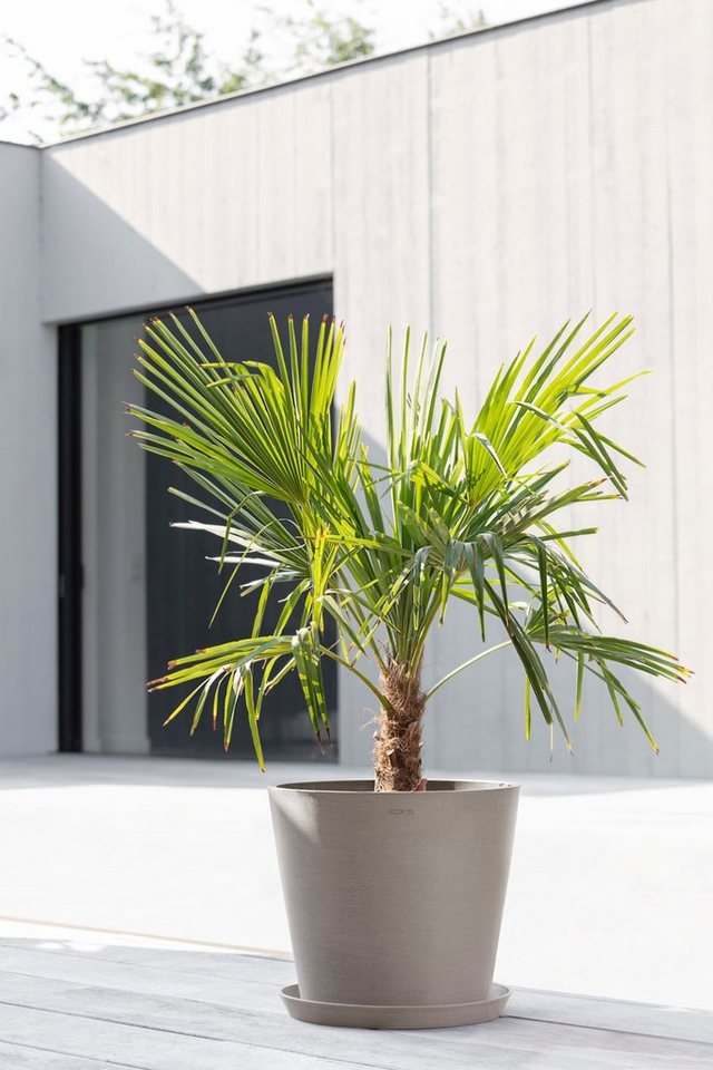 Thumbnail - ECOPOTS Blumentopf Amsterdam, ØxH: 40x35 cm