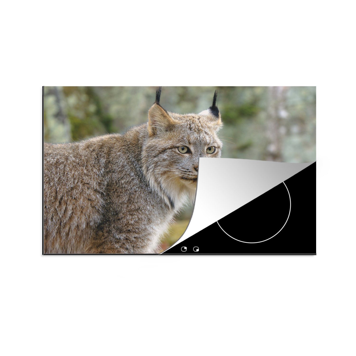 MuchoWow Herdblende-/Abdeckplatte Luchs - Wald 81x52 Grau, cm, - Schutz für küche, tlg), Ceranfeldabdeckung Induktionskochfeld Vinyl, die (1