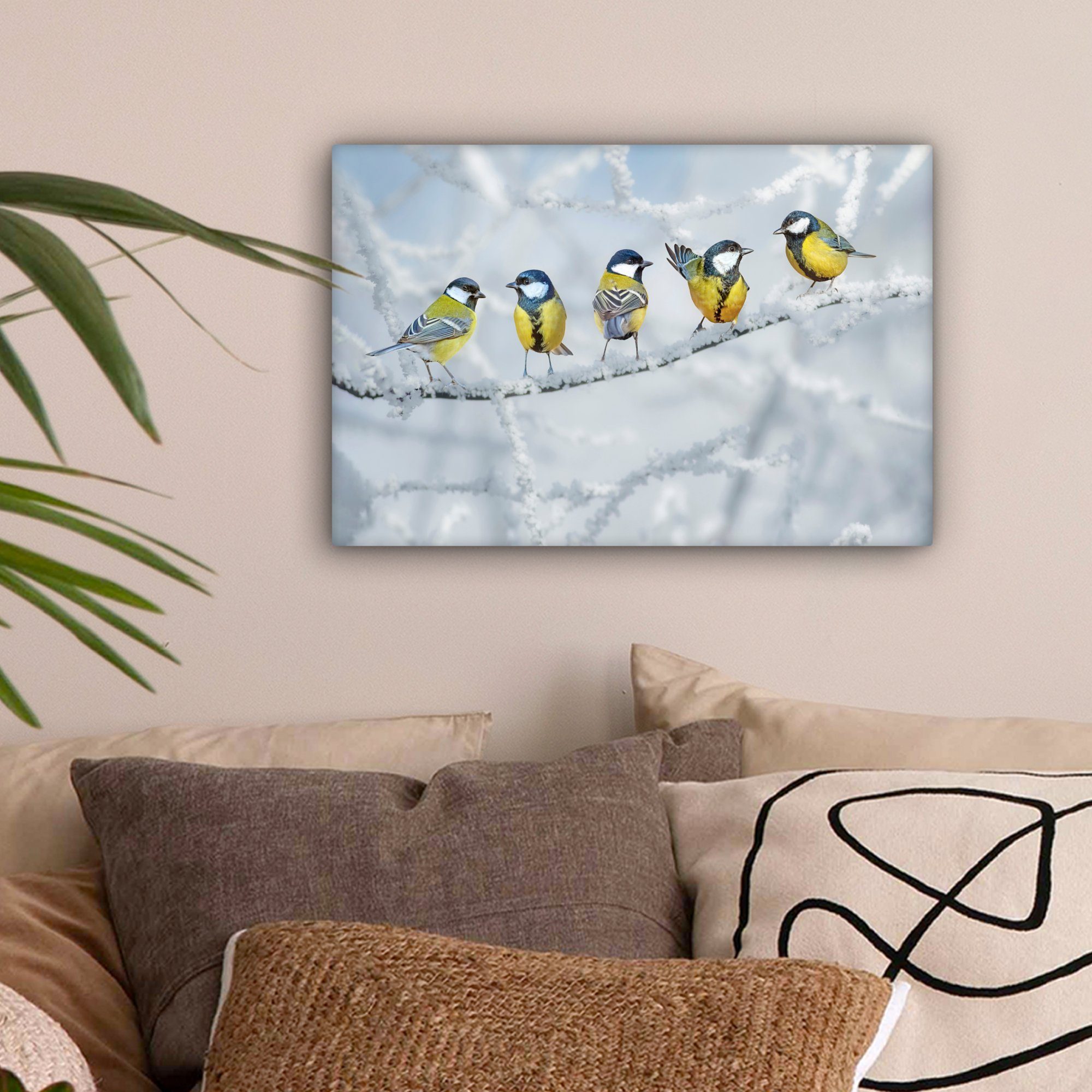 OneMillionCanvasses® Leinwandbild Vogel - Kohlmeise - Winter - Schnee - Zwe günstig online kaufen