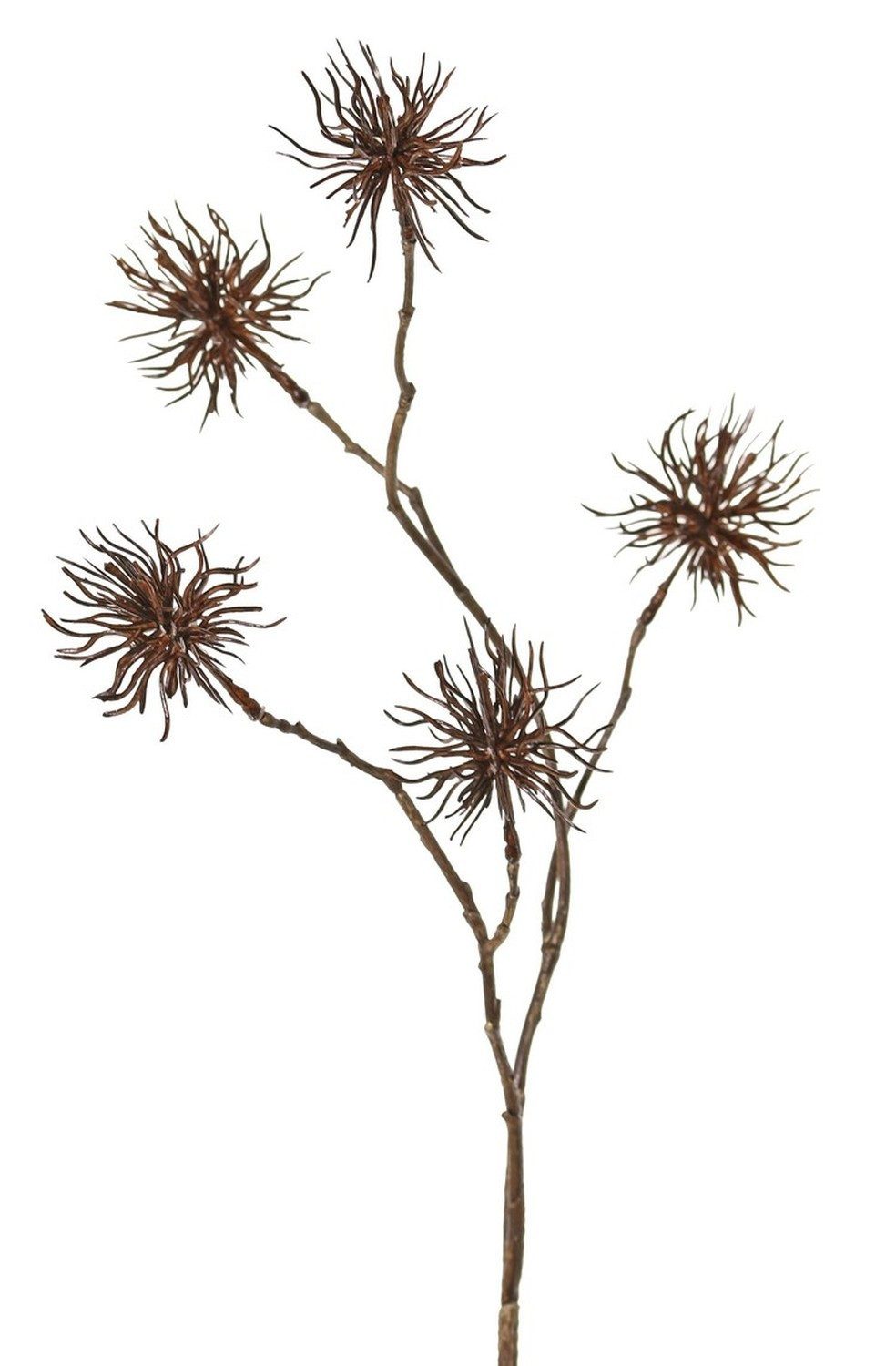 Kunstzweig Deko Zweig Zaubernuss NUMBAT mit Blüten, braun, 70cm, Ø5cm Zaubernuss, artplants, Höhe 70.0 cm
