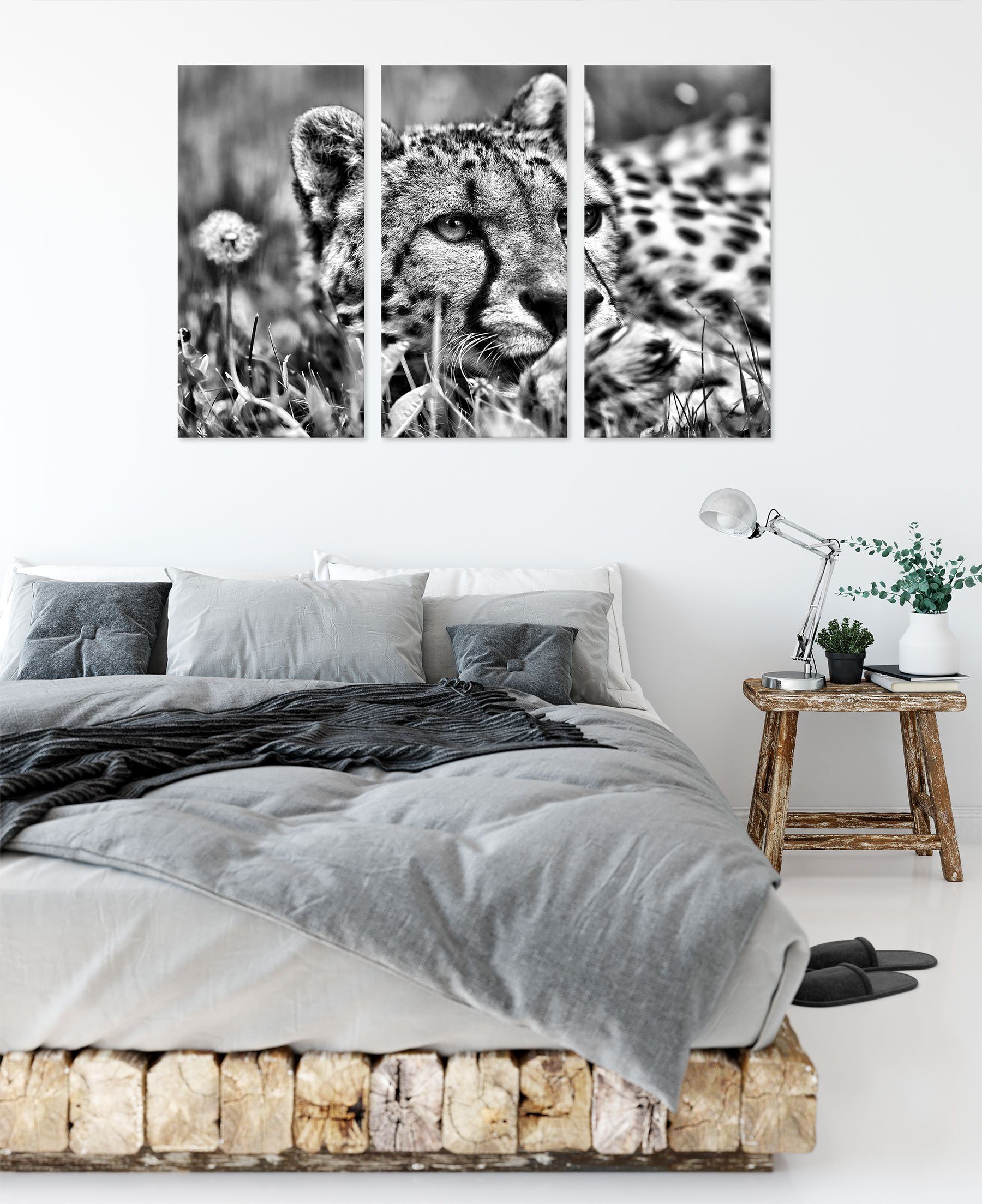 im Pixxprint Zackenaufhänger Gras im Gras, Leinwandbild (1 Gepard bespannt, (120x80cm) inkl. St), Gepard 3Teiler fertig Leinwandbild