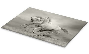 Posterlounge Acrylglasbild Editors Choice, Pferde im Sommer, Badezimmer Fotografie