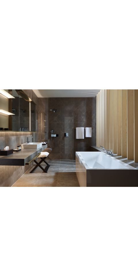 hansgrohe Handbrause