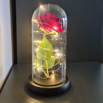 MALATEC LED Dekolicht Ewige Rose im Glas mit LED-Beleuchtung und Box, LED fest integriert, Dekoration, Ewige Rose, Hochwertig, Geschenk
