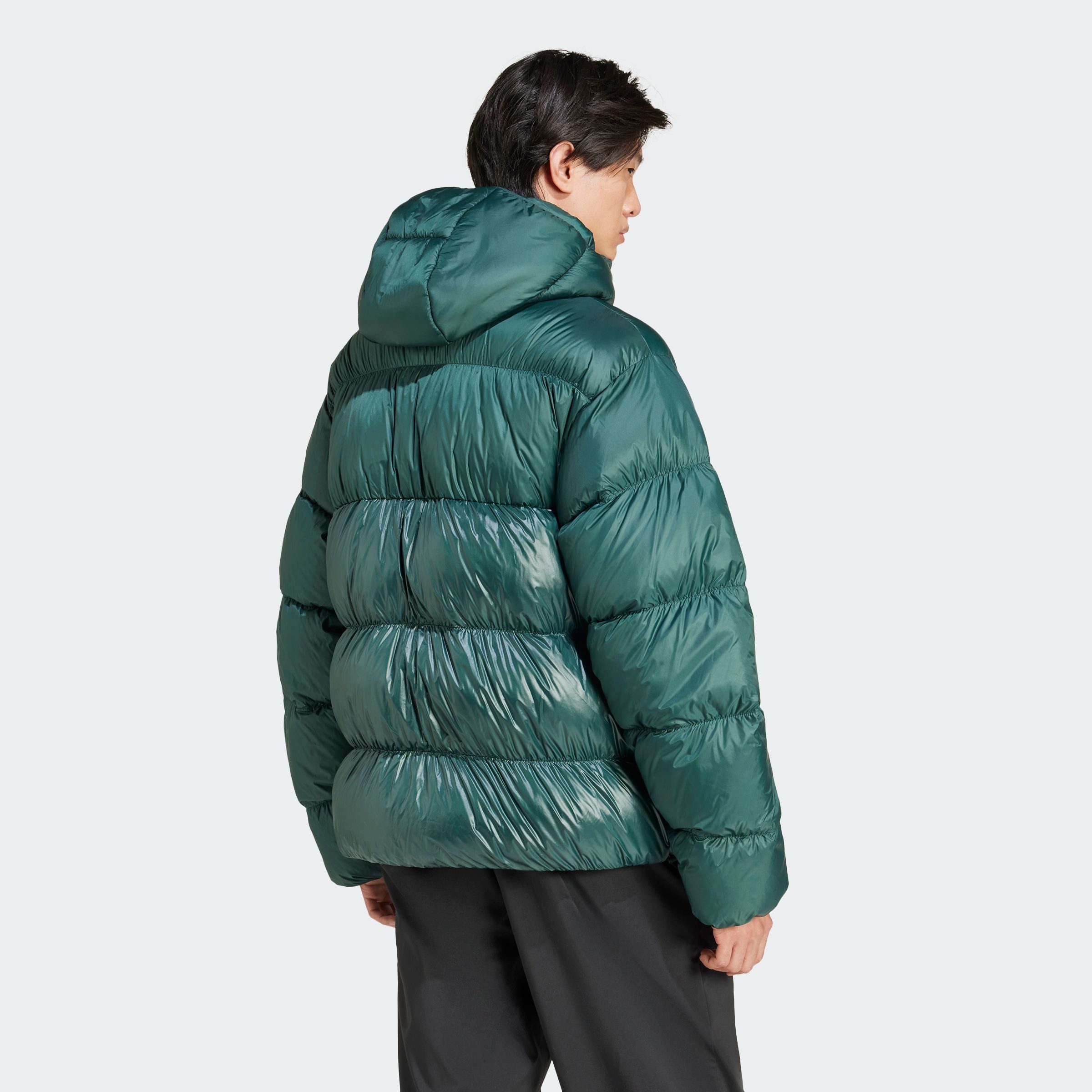 adidas Originals Winterjacke ADICOLOR REGEN PUFFY