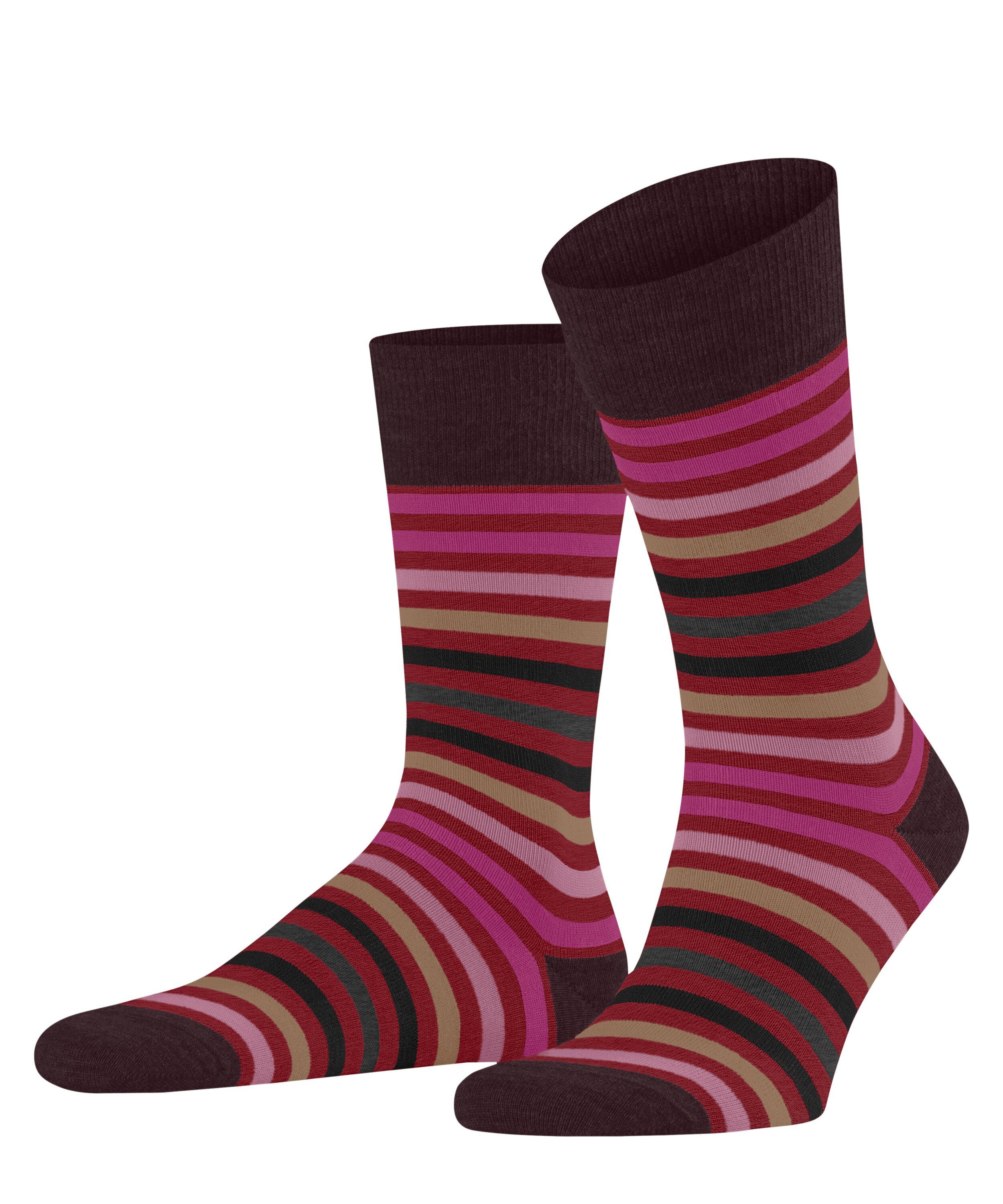 (8077) (1-Paar) ingle FALKE Tinted Stripe Socken