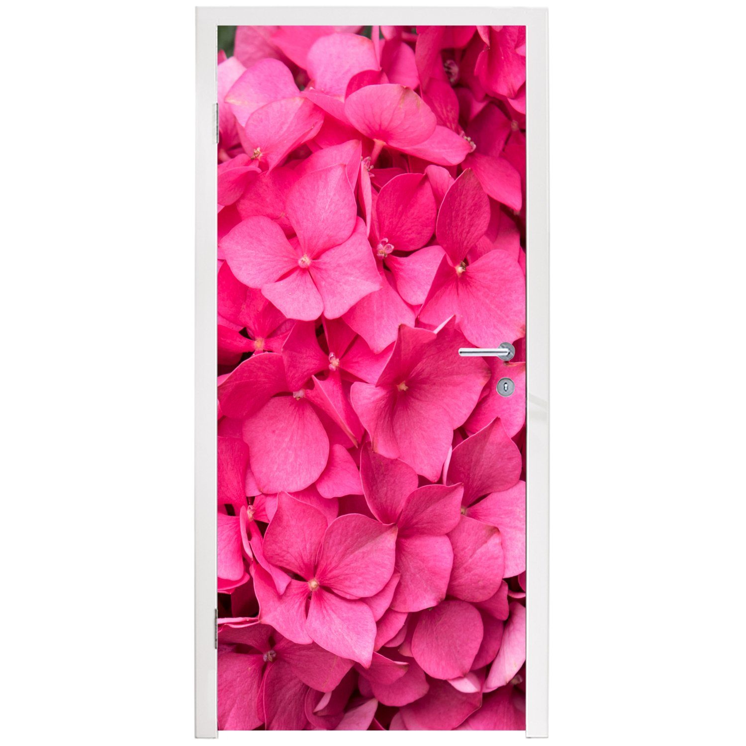 MuchoWow Türtapete Nahaufnahme rosa Türaufkleber, bedruckt, Fototapete Matt, (1 Tür, Hortensienblüten, 75x205 cm St), für