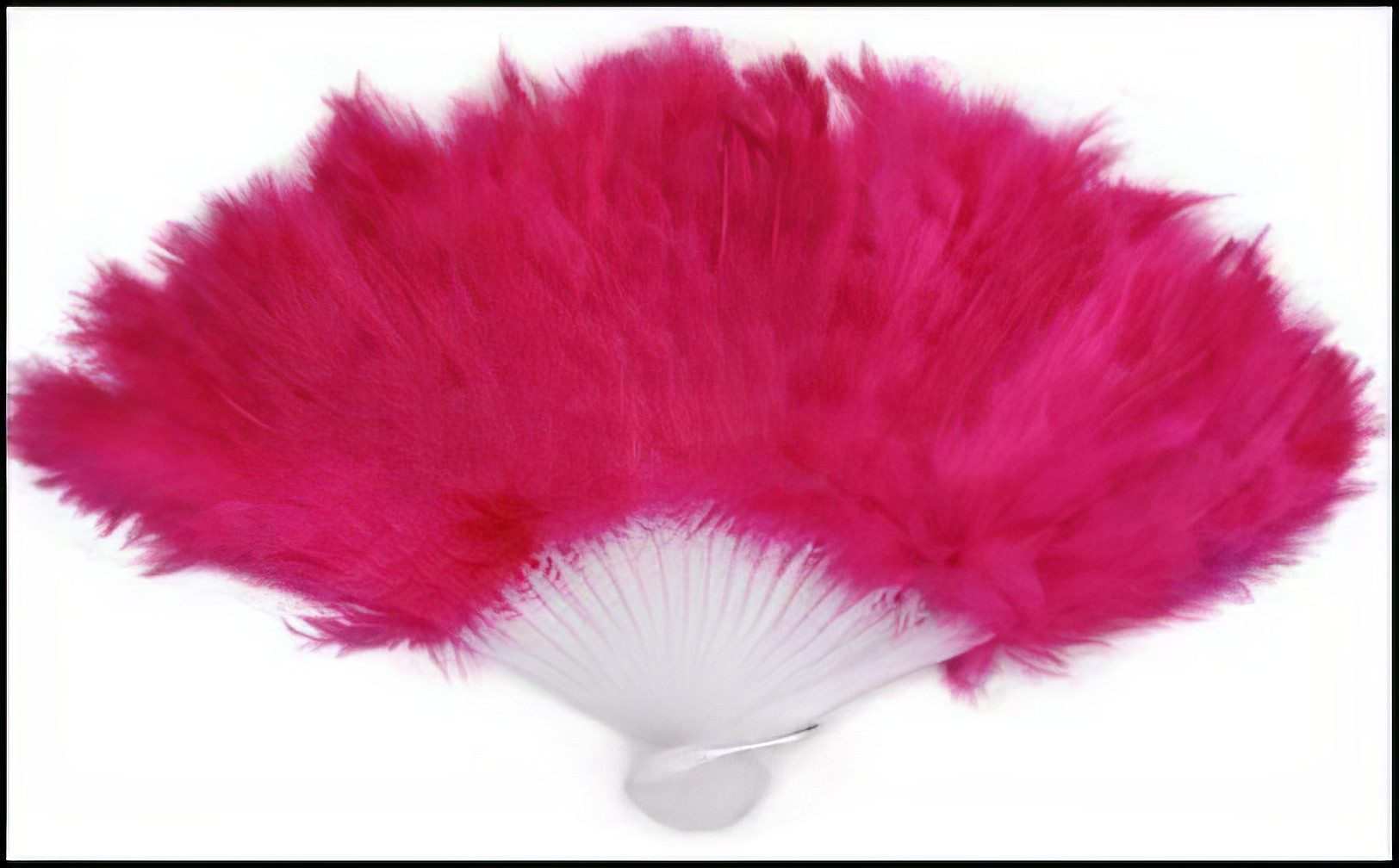 Yudu Handfächer 2 stück Federfächer Dekofächer Handfächer Fächer Tanzen-Fächer