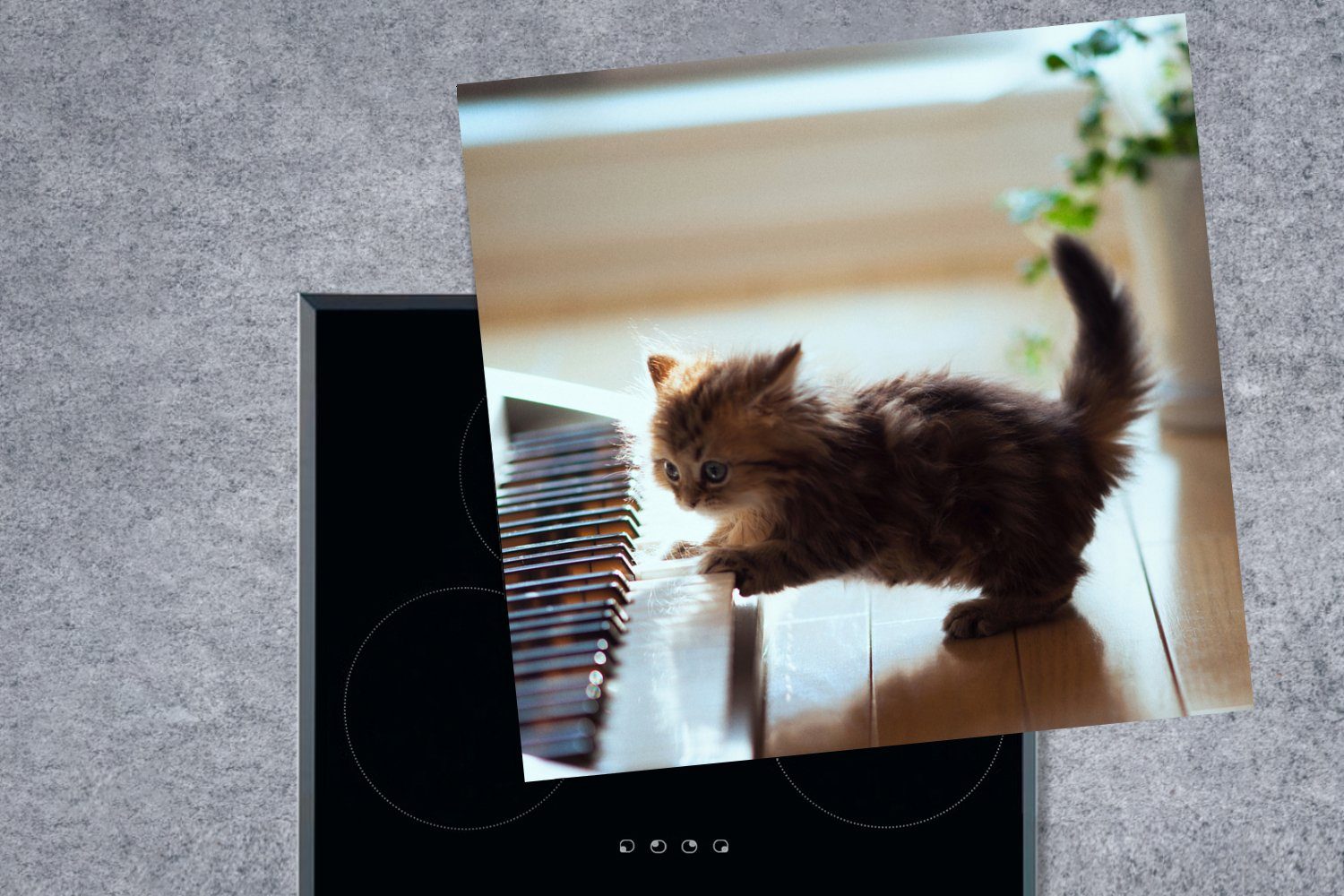 Ceranfeldabdeckung, tlg), Kätzchen Vinyl, MuchoWow küche Arbeitsplatte 78x78 Tiere, (1 - cm, Herdblende-/Abdeckplatte - Klavier für