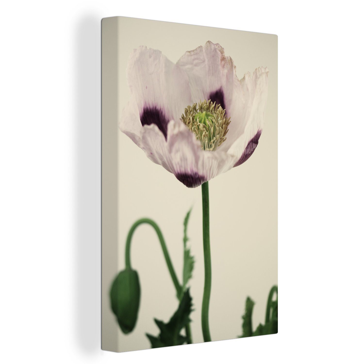 OneMillionCanvasses® Leinwandbild Blühende Weltkugel mit weißen und violetten Blättern, (1 St), Leinwandbild fertig bespannt inkl. Zackenaufhänger, Gemälde, 20x30 cm
