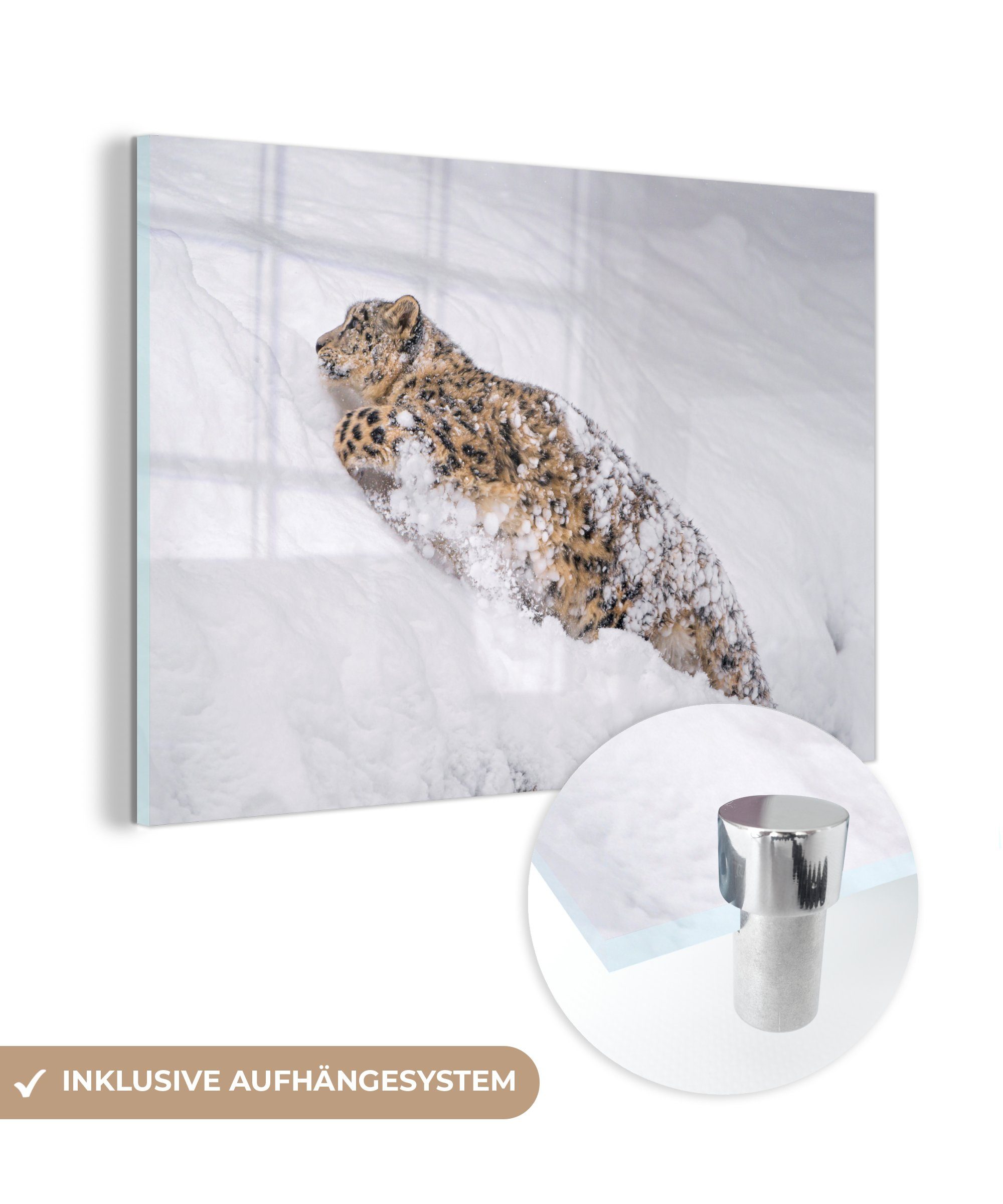 MuchoWow Acrylglasbild Schneeleopard - Schnee - Gelb, (1 St), Acrylglasbilder Wohnzimmer & Schlafzimmer
