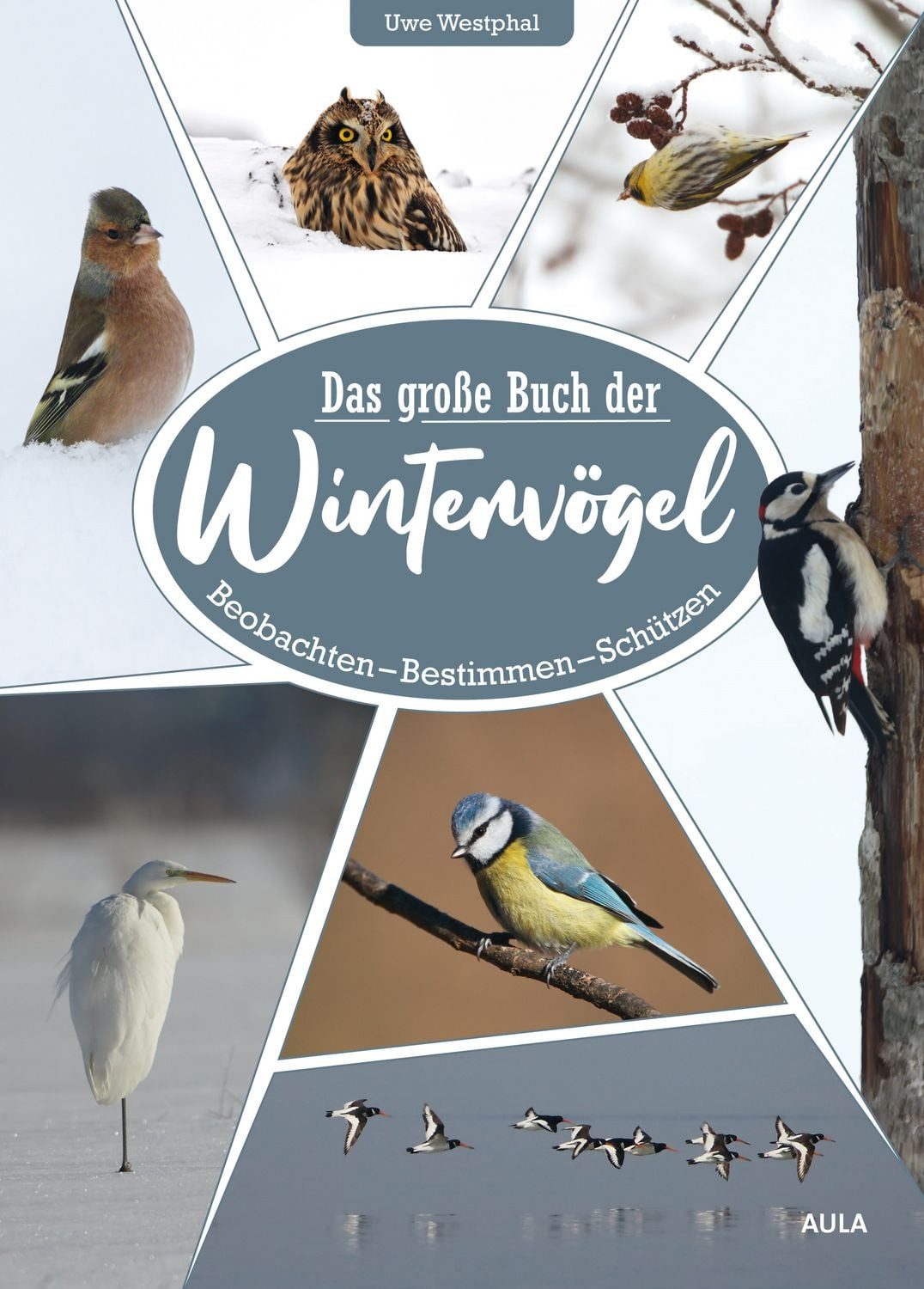Ratgeber Das große Buch der Wintervögel Beobachten – Bestimmen – Schützen Uwe Westphal