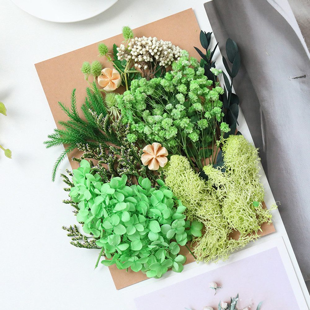 Trockenblume Pampasgras Zum Basteln Mini Trockenblumen, günstig online kaufen