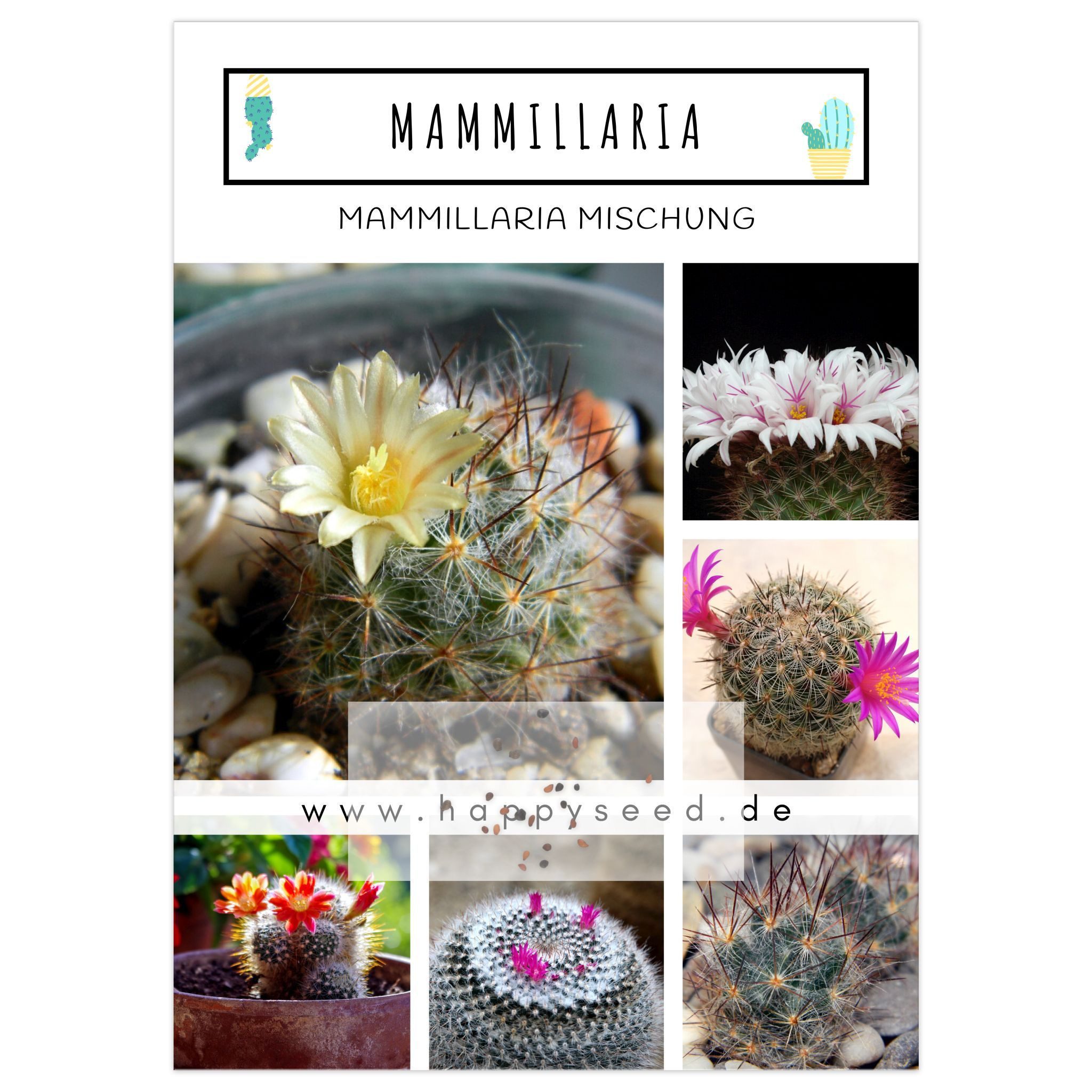 HappySeed Blumensamen Mammillaria Mix Samen - Cactaceae (Kakteen), Kakteen günstig online kaufen