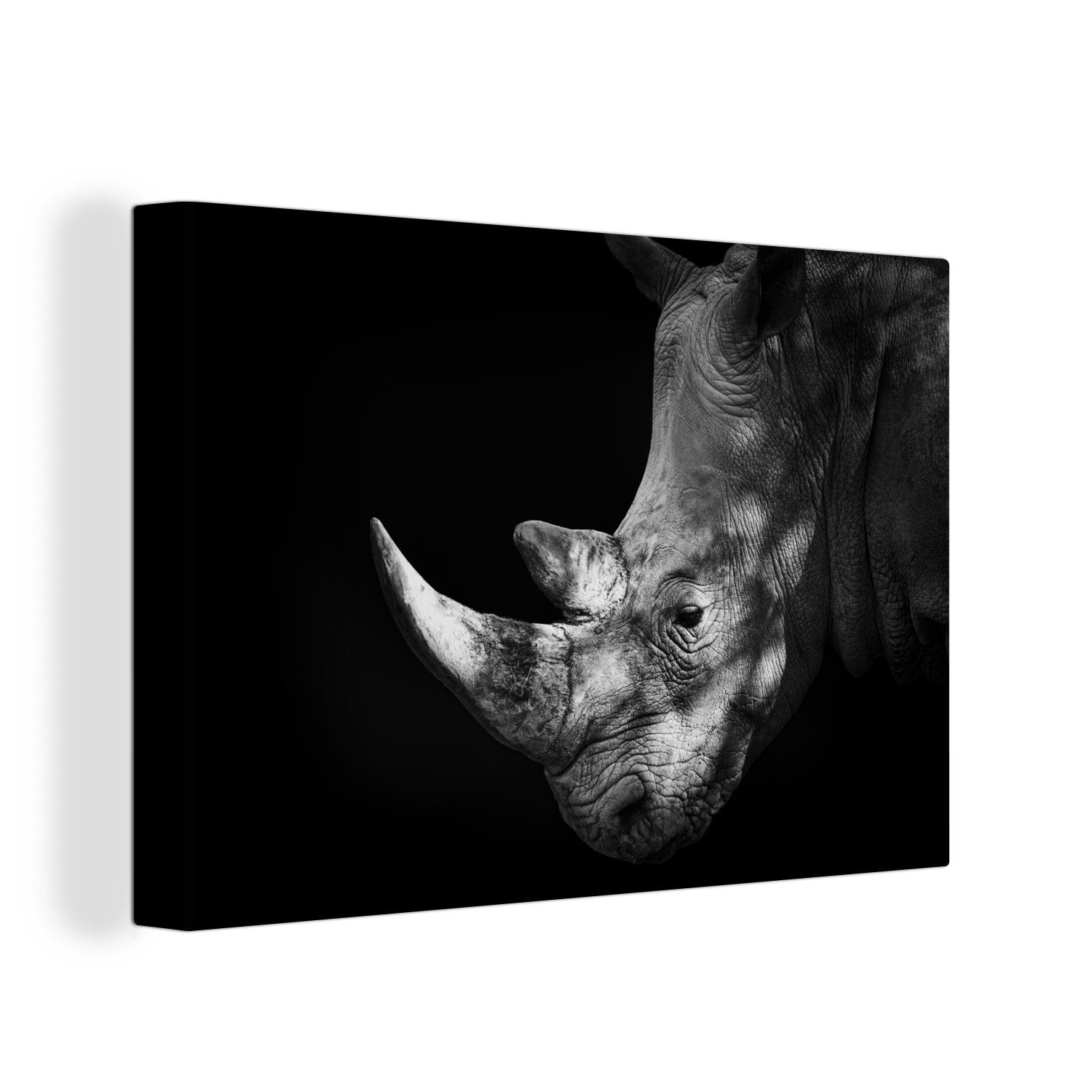 OneMillionCanvasses® Leinwandbild Schwarzes und weißes Nashorn günstig online kaufen