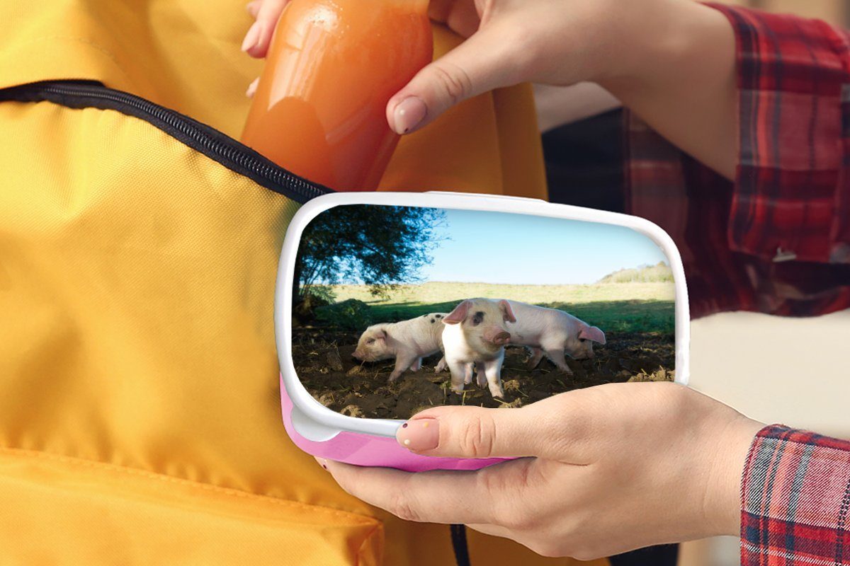 MuchoWow Lunchbox Schweine - Kunststoff, (2-tlg), Brotdose Tiere rosa Erwachsene, Brotbox - Mädchen, Kunststoff Snackbox, Landschaft, für Kinder