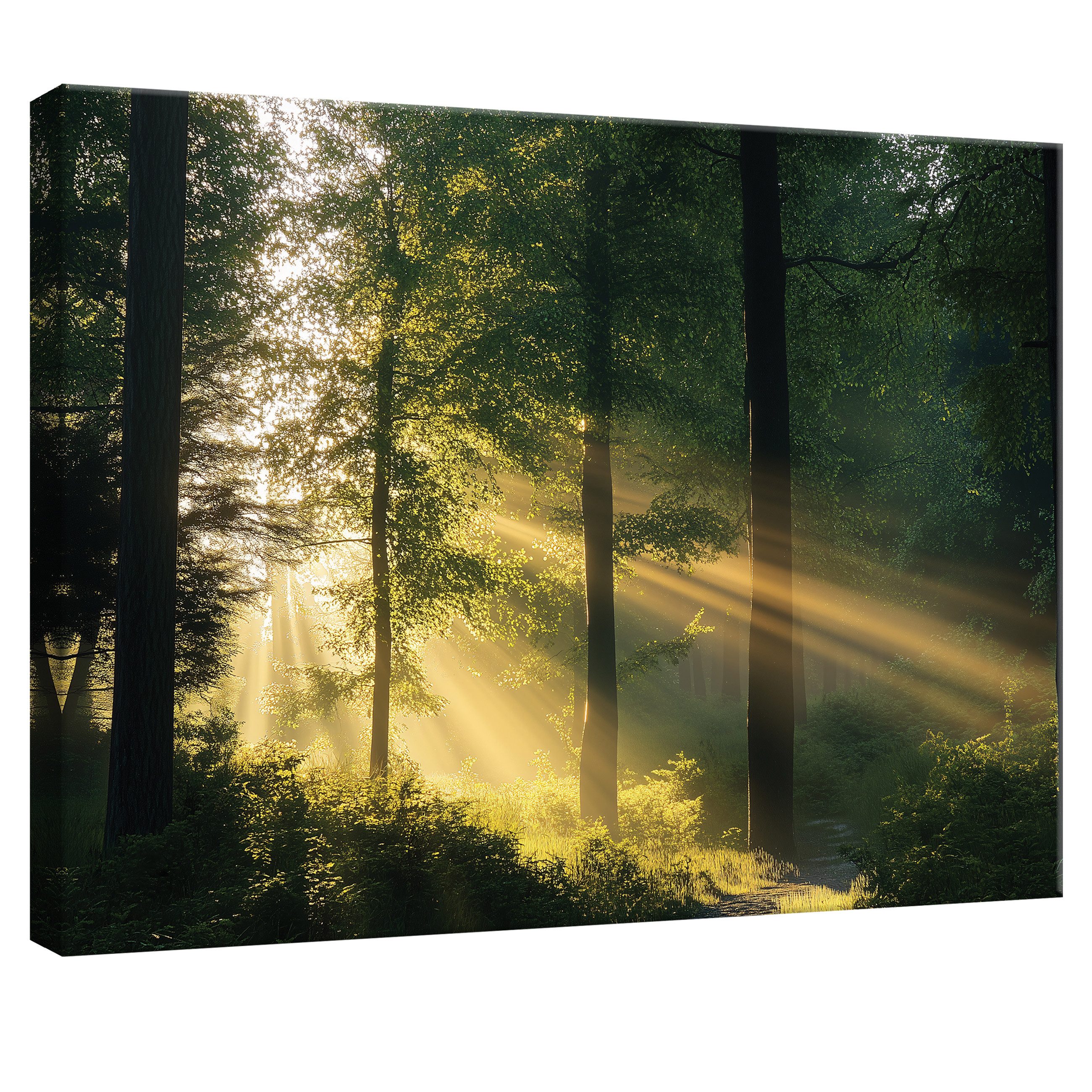 Wallarena Leinwandbild Wald Natur Sonne Landschaft Wandbilder XXL Wand Deko günstig online kaufen