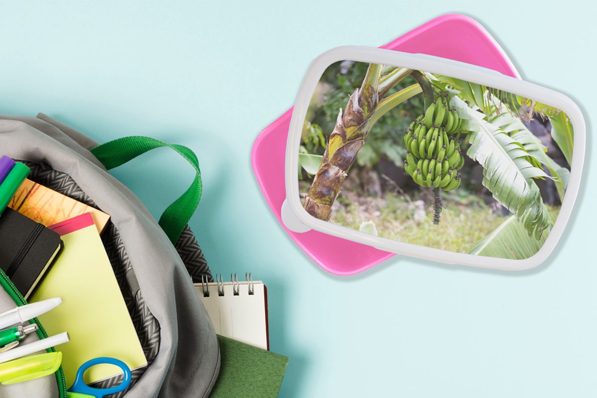 MuchoWow Lunchbox - Snackbox, Kunststoff rosa Kinder, Baum, - Banane Erwachsene, für Kunststoff, Mädchen, Brotbox (2-tlg), Pflanze Brotdose