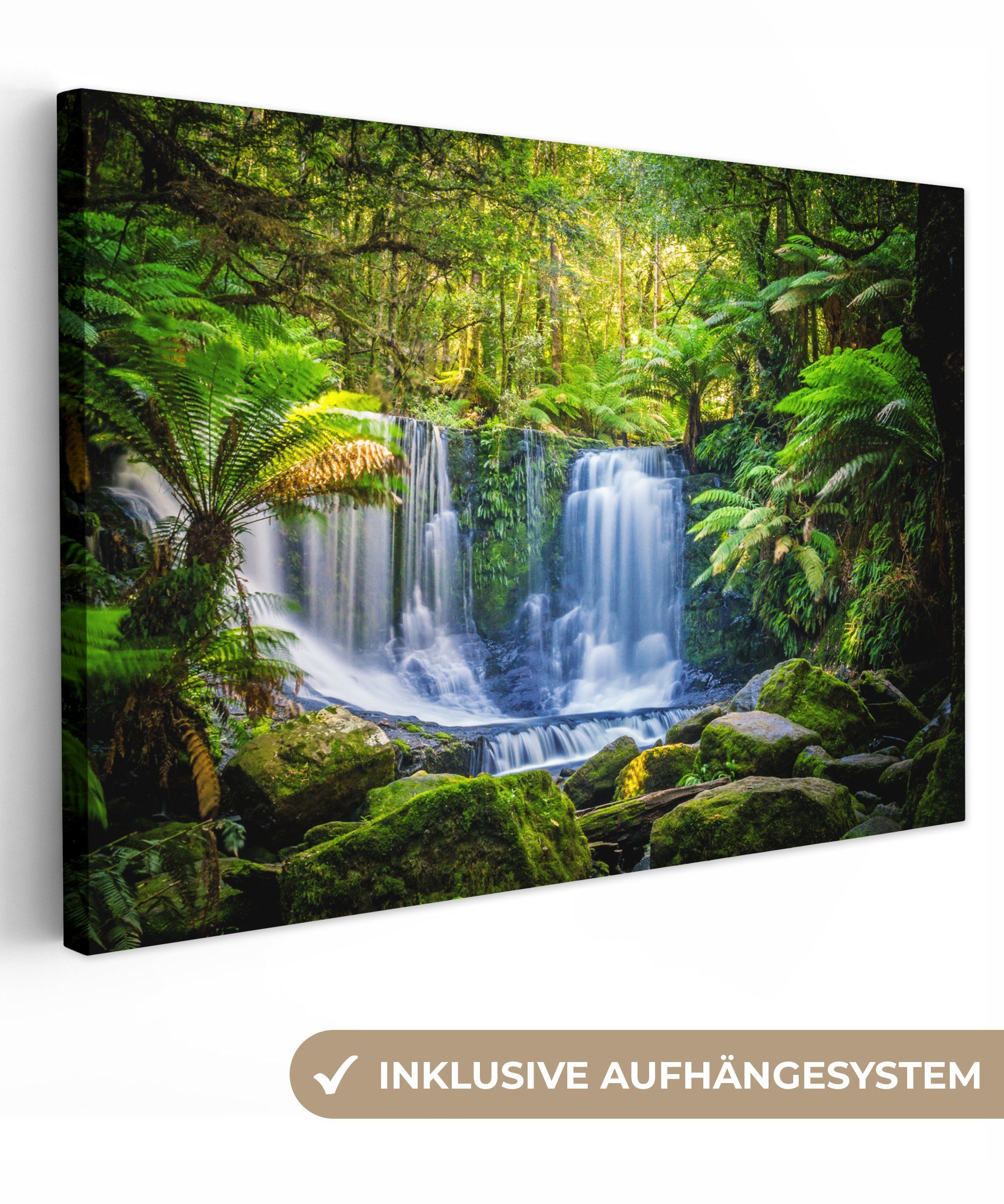 OneMillionCanvasses® Leinwandbild Dschungel - Wasserfall - Australien - Pfl günstig online kaufen