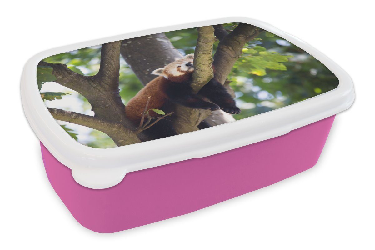 MuchoWow Lunchbox Roter Panda auf dem Baum, Kunststoff, (2-tlg), Brotbox für Erwachsene, Brotdose Kinder, Snackbox, Mädchen, Kunststoff rosa