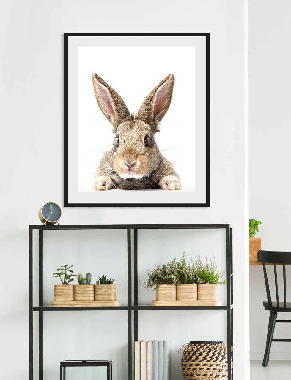 queence Bild Joona, Foto, Hase, Hasen, Haustiere, Kunst (1 St), HD Premium Poster-Druck inkl. Holzrahmen