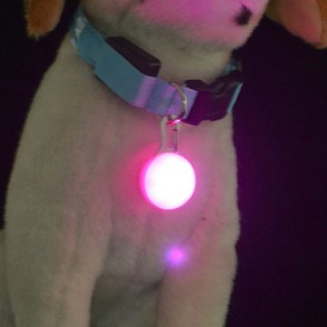 GelldG Leuchthalsband 6 Stück Hunde Sicherheits leuchtenlicht Clip