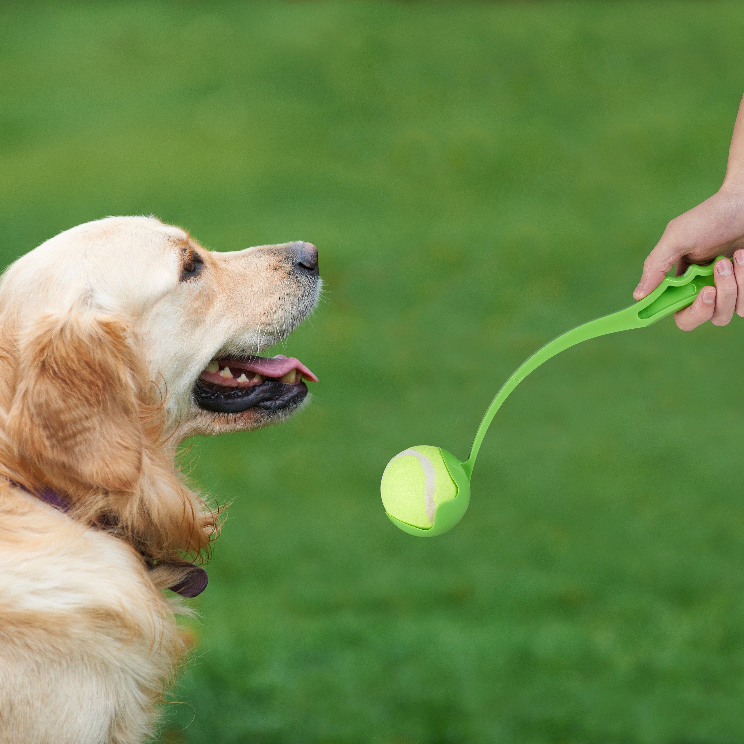 relaxdays Hunde-Ballschleuder Ballschleuder für Hunde 2er Set