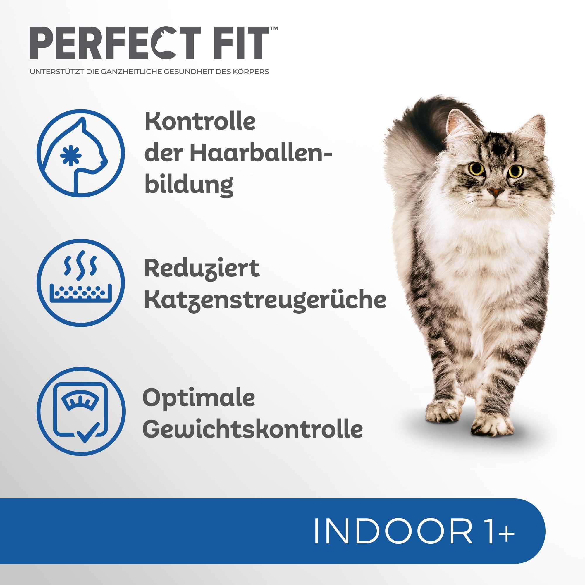 Perfect Fit PERFECT FIT™ Katze Beutel Indoor 1+ mit Rind 6 x 750g, Trockenfutter für: Katze