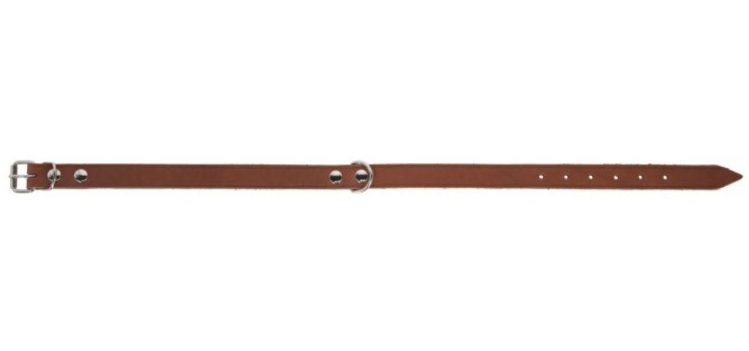 Hunde-Halsband Halsband Mexica taupe 41 cm - 51 cm 80014