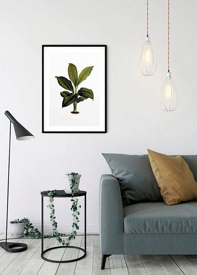 St), Pflanzen Elastica Leaf, Kinderzimmer, Schlafzimmer, (1 Poster Blätter, Komar Wohnzimmer