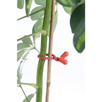 BURI Rankhilfe 50x 10er Set Bambus-Stangen L 90cm, ø 8-10mm Rankhilfe Pflanzenstab St