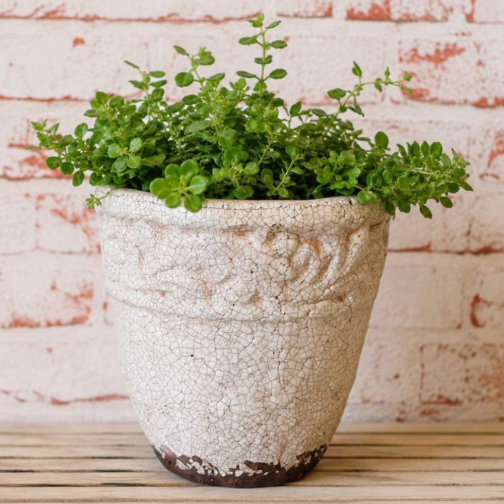 AltoBelli Blumentopf AltoBelli Blumentopf SIRMIONE Terracotta Antik Beige 18x18 cm