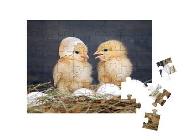 puzzleYOU Puzzle Neugeborene Küken, 48 Puzzleteile, puzzleYOU-Kollektionen Hühner & Küken
