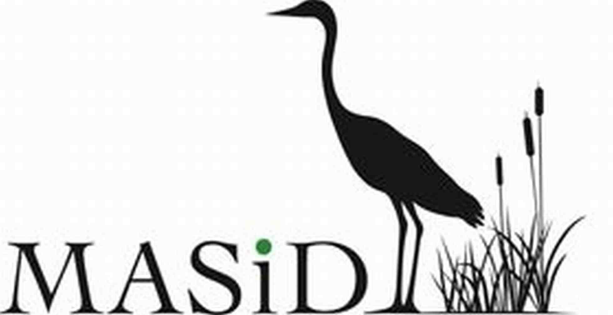 Masid