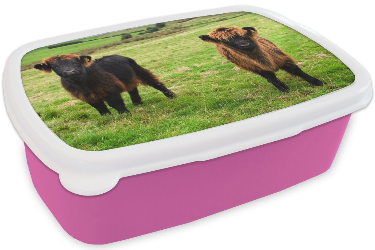 Kunststoff Brotbox - Kunststoff, (2-tlg), Brotdose Highlander Kühe, Gras Snackbox, Schottische Mädchen, Kinder, für Erwachsene, MuchoWow rosa Lunchbox -