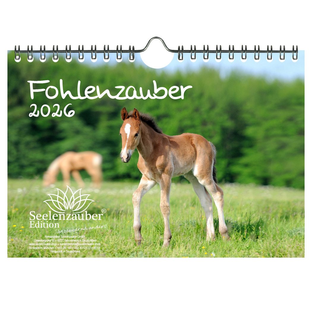 Seelenzauber Wandkalender Fohlenzauber DIN A5 Kalender für 2026 Pferde und Fohlen - Seelenzauber