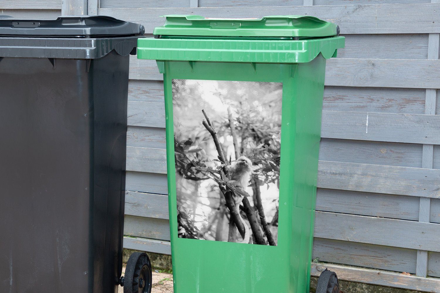MuchoWow Wandsticker Kleines Seidenäffchen im und weiß Mülleimer-aufkleber, schwarz Baum St), Abfalbehälter Sticker, (1 - Mülltonne, Container