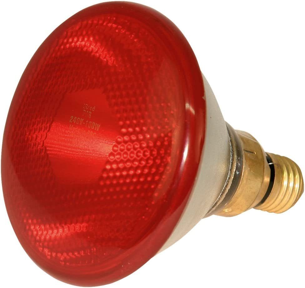 Infrarotlampe Wärmestrahler für Küken, Wärmelampe 100 W