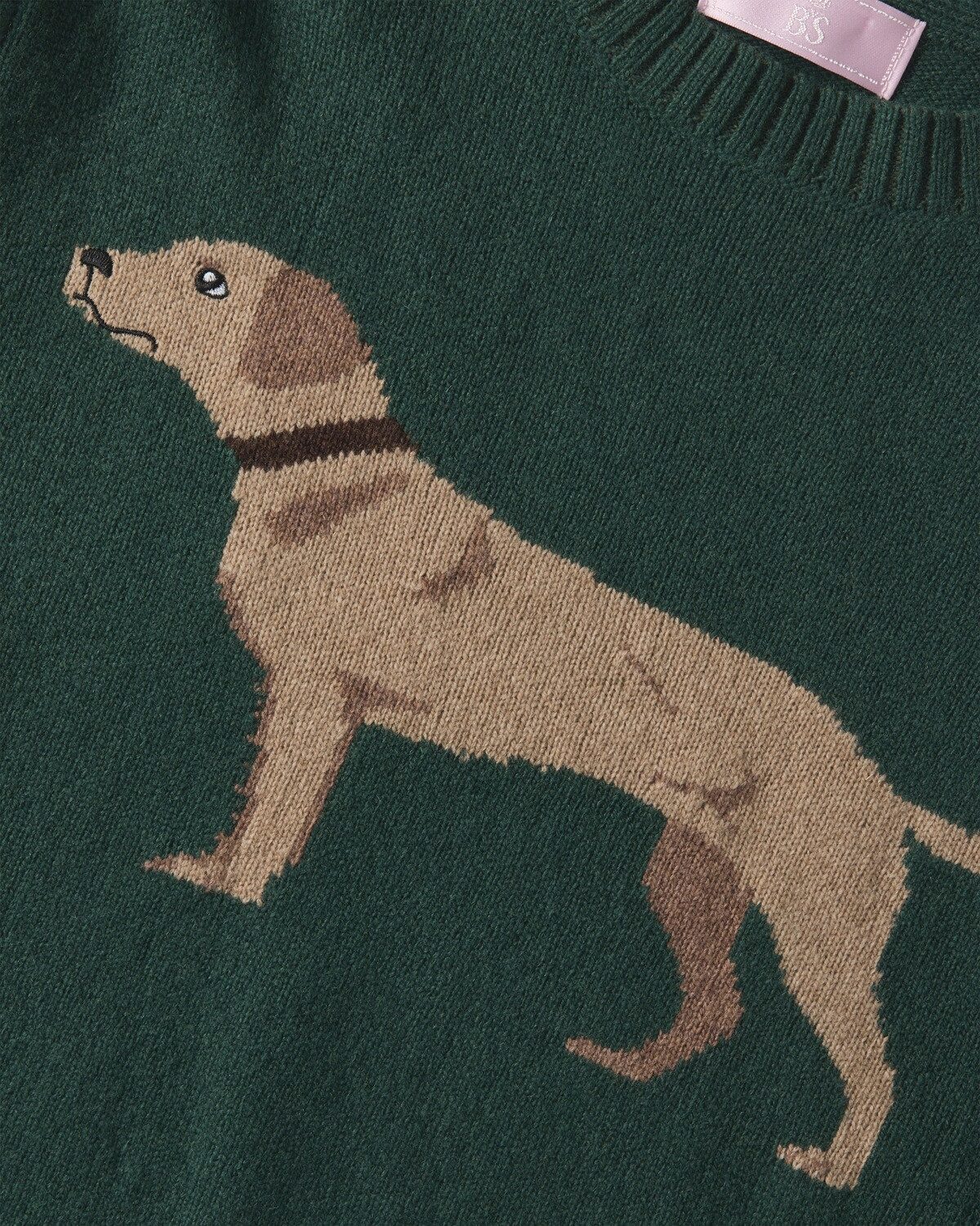 Brigitte von Schönfels Strickpullover Pullover mit Labrador-Motiv