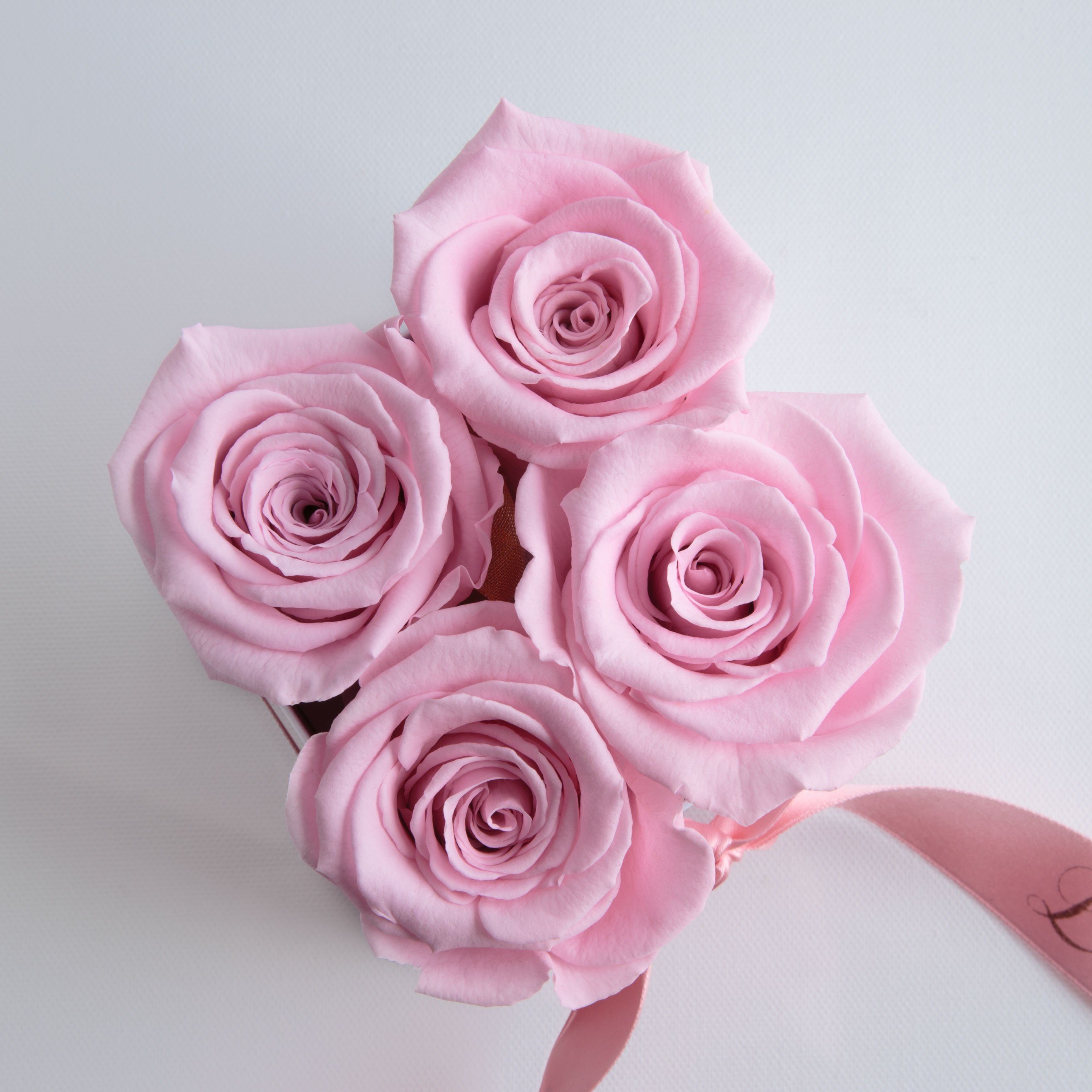 cm, Deko 8.5 Damen weiß Kunstblume SCHULZ Rose, Frauen Höhe Infinity für Rosenbox für rosa ROSEMARIE zum Geschenk Heidelberg, Rosen Valentinstag Poesie